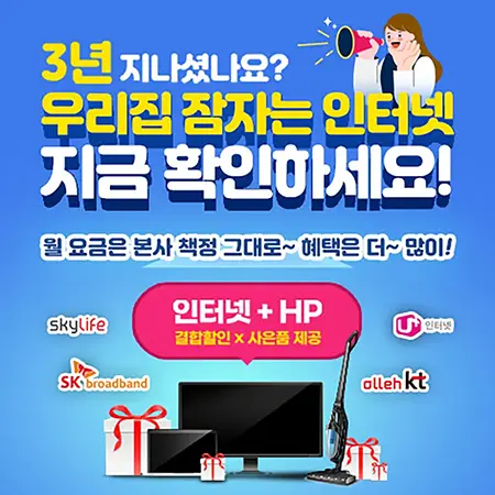 우리집 잠자는 인터넷, 알뜰 인터넷