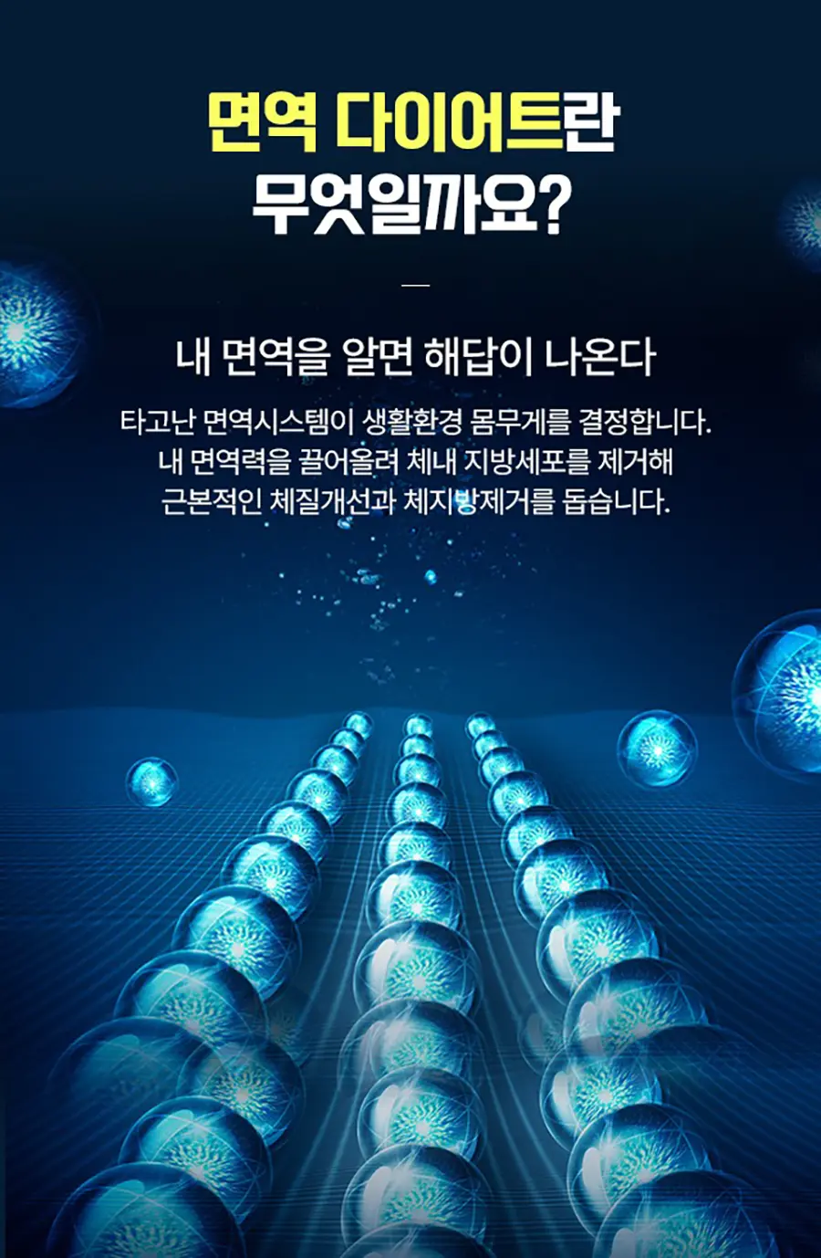 서재걸 면역다이어트 모델 이미지