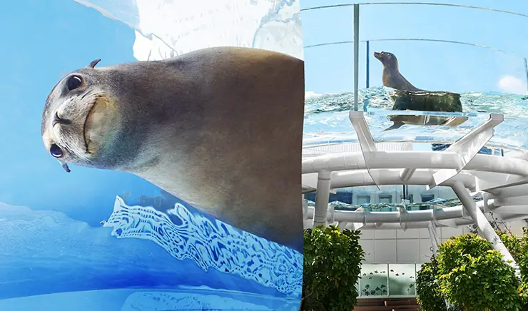 도쿄 고층 빌딩을 배경으로 하늘을 나는 듯 헤엄치는 선샤인 수족관의 펭귄들