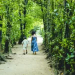 비세 후쿠기 가로수길