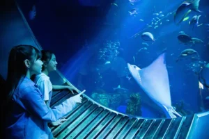 DMM 카리유시 수족관