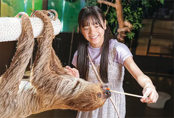 나뭇가지에 매달린 나무늘보에게 직접 먹이를 주며 교감하는 특별한 체험