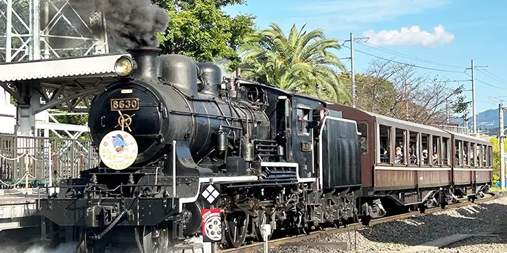 하얀 증기를 내뿜으며 실제로 달리는 SL 스팀호 탑승 체험