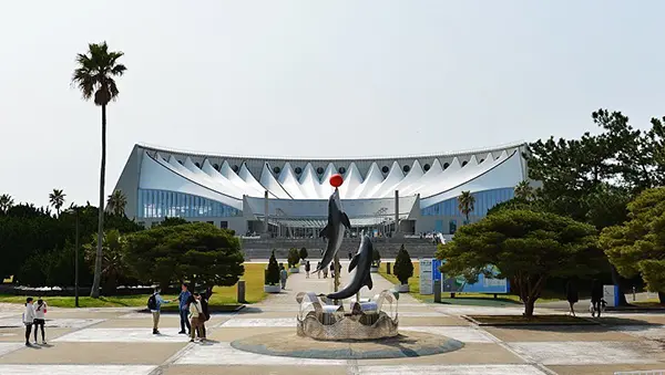 마린월드 바로 옆에 위치한 광활한 우미노나카미치 해변공원의 평화로운 풍경