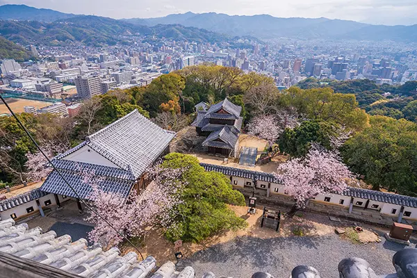 언덕 위에 위엄 있게 서 있는 마쓰야마 성의 모습