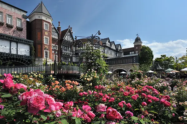 여름철 화려하게 피어난 장미 정원과 아이들이 뛰어노는 풍경