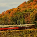 우동의 성지 다카마쓰 레트로 트레인