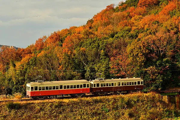 다카마쓰 시내를 가로지르는 레트로한 디자인의 고토덴 열차