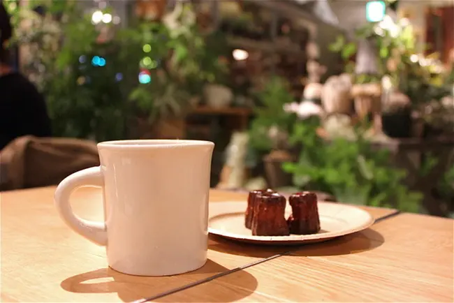 BIOTOP Corner Stand cafe latte and outdoor terrace