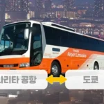 나리타 리무진 버스