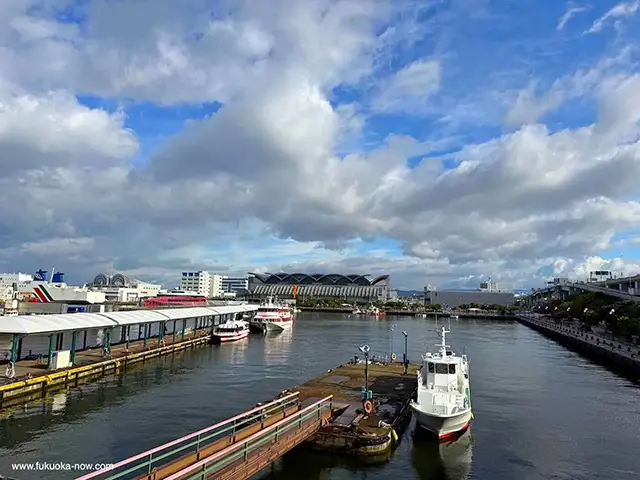 모모치 해변 마리존에서 출발하는 페리. 바다를 가로질러 수족관 바로 앞 선착장에 도착합니다.