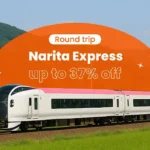 나리타 익스프레스 (N'EX)