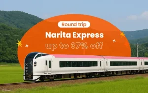 나리타 익스프레스 (N'EX)