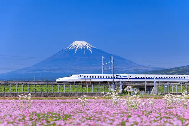 시속 285km로 내달리는 신칸센 차창 밖으로 거대한 후지산의 위용이 펼쳐지는 순간. 이 풍경을 쾌적하게 1열 직관하기 위해선 지정석 E열을 무조건 사수해야 합니다
