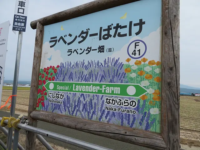 홋카이도 비에이 후라노 버스 투어 코스 추천 및 계절별 관람 팁 2 후라노 팜 도미타의 보랏빛 라벤더 화원과 청량한 여름 풍경
