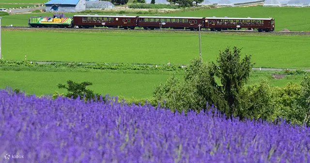 홋카이도 비에이 후라노 버스 투어 코스 추천 및 계절별 관람 팁 3 신비로운 에메랄드빛 물을 머금은 비에이의 청의 호수