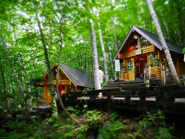 홋카이도 비에이 후라노 버스 투어 코스 추천 및 계절별 관람 팁 4 비에이의 흰수염폭포에서 떨어지는 푸른 물줄기와 설경의 조화