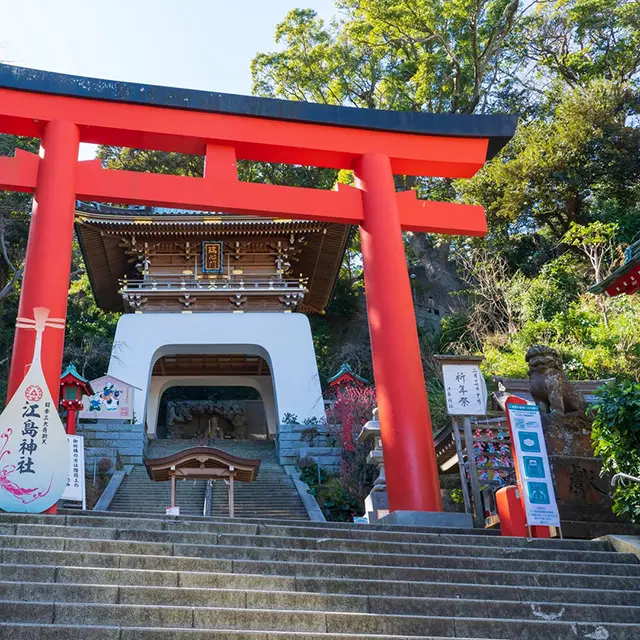 도쿄 근교 가마쿠라 에노시마 일일 버스 투어 코스 비교 및 슬램덩크 명소 1 푸른 바다와 에노덴 기차가 어우러진 가마쿠라 해변의 평화로운 풍경