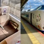 간사이 공항에서 교토 가는 법