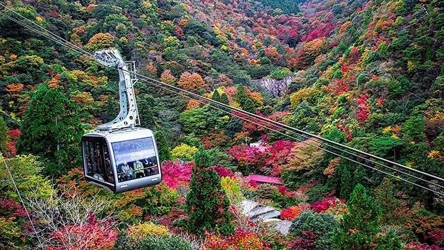 오사카 출발 고베 롯코산 야경 버스 투어 코스 추천 및 고베 규 맛집 1 고베 하버랜드에서 바라본 붉은 포트 타워와 항구의 야경