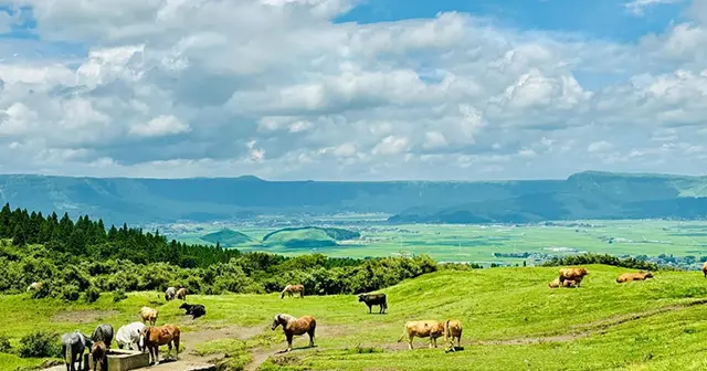 후쿠오카 출발 구로카와 온천 마을 당일치기 버스투어 및 온천 순례 5 계곡 물소리를 들으며 즐기는 구로카와의 신비로운 노천 온천