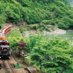 교토 아라시야마 당일치기