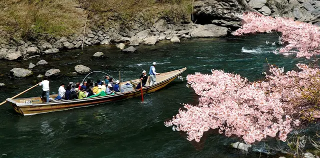 교토 아라시야마 당일치기