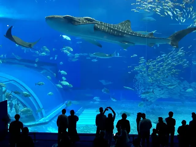 오키나와 중부의 상징, 코끼리 코 모양의 기암괴석 만좌모