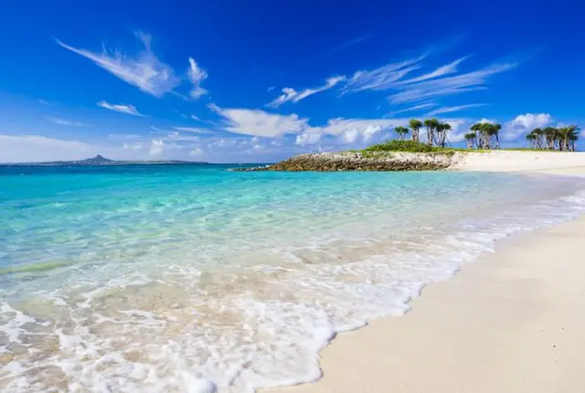 오키나와 츄라우미 수족관