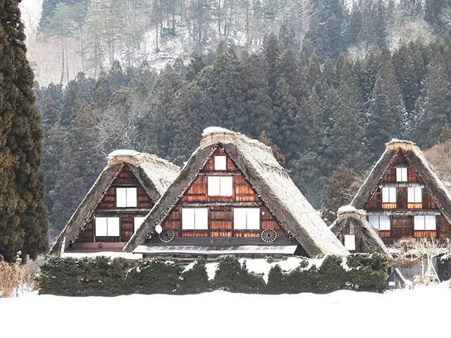 시라카와고의 매력을 더해주는 주변의 울창한 숲과 자연 정경