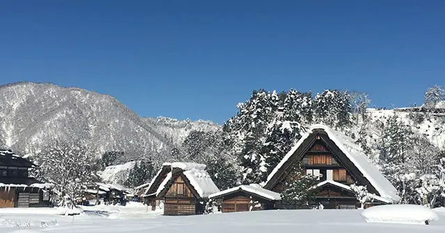 밤하늘 아래 따스한 조명이 켜진 시라카와고 라이트업의 몽환적인 모습