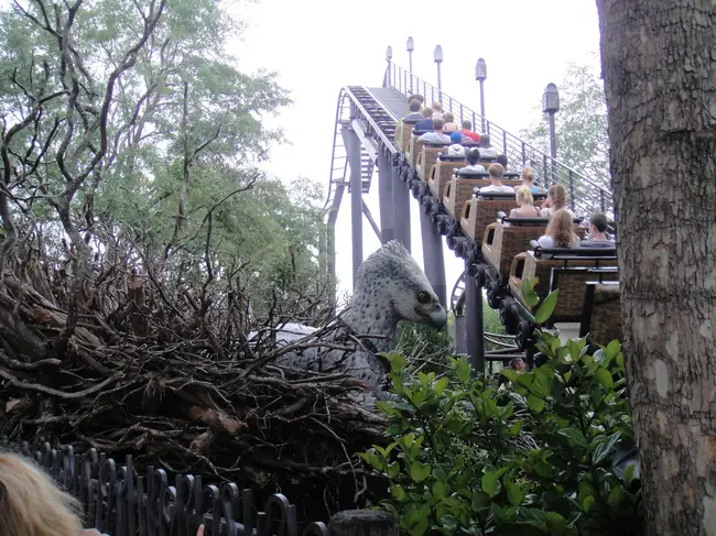 플라이트 오브 히포그리프