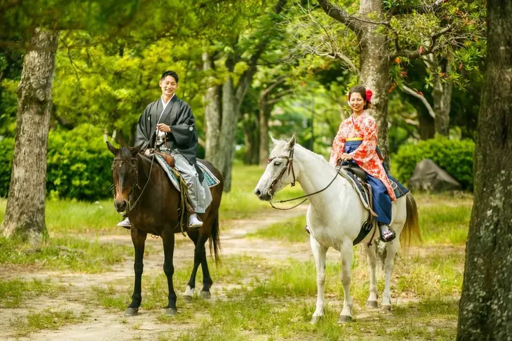 후쿠오카 성터의 견고한 석벽과 푸른 숲이 어우러진 여름 풍경