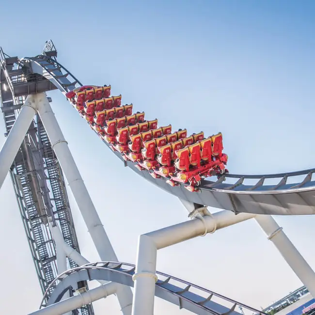 할리우드 드림 더 라이드 백드롭