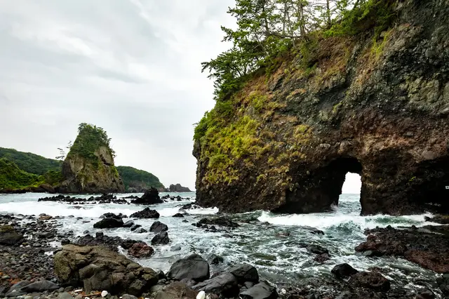 오미초 시장의 신선하고 화려한 카이센동 한 그릇