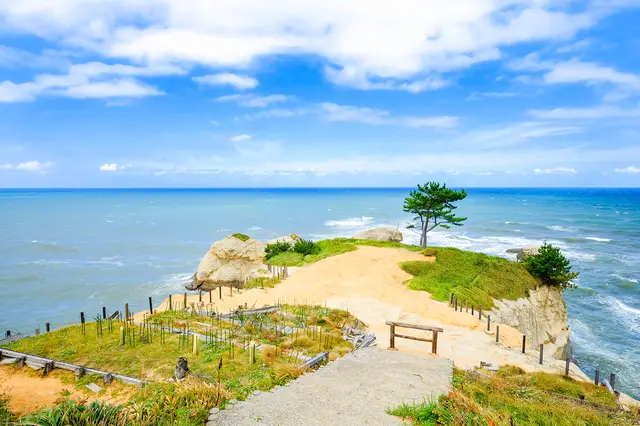 하쿠산 시라카와고 화이트 로드의 웅장한 드라이브 코스