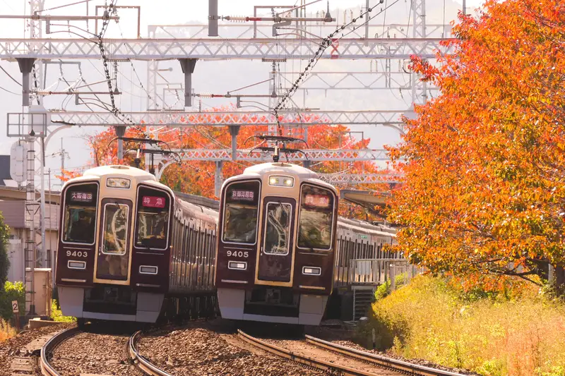 교토의 아름다운 가모가와 강변을 따라 달리는 청량한 게이한 전철 풍경