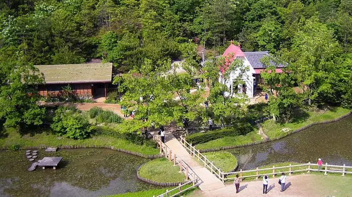 지브리 파크 돈도코 숲 산책 동선과 숲 풍경