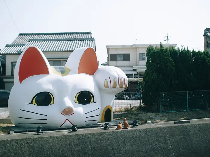 도코나메 도코냥 대형 고양이 얼굴 포토 스팟