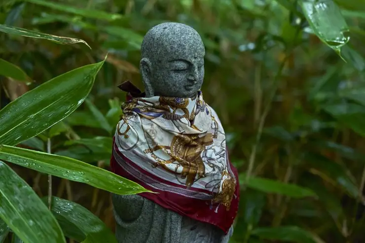 마루야마 산 원시림