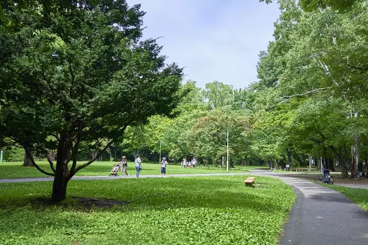 신궁 본당 전경