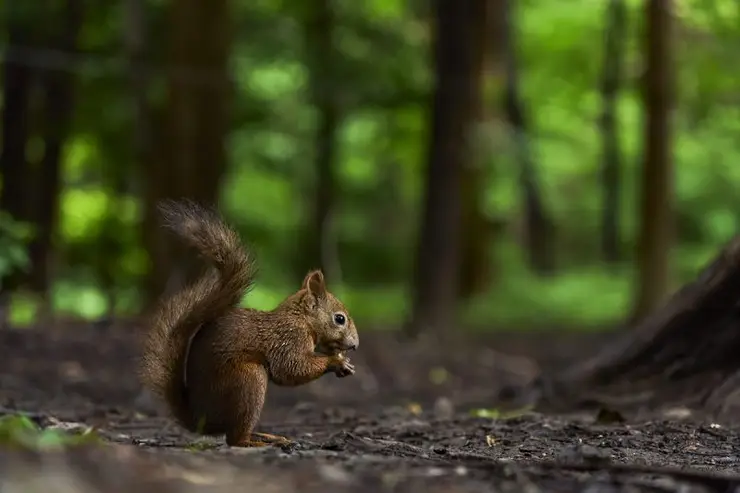 마루야마 카페 외관