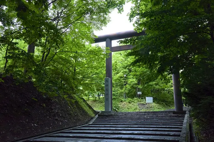 정성스러운 드립 커피