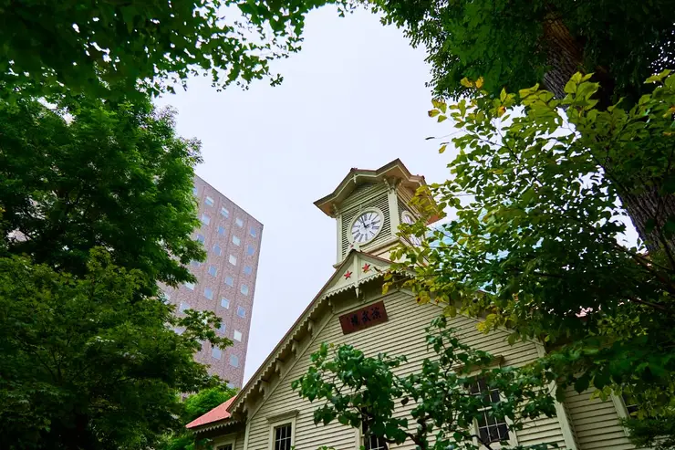 새벽의 활기찬 니조 시장