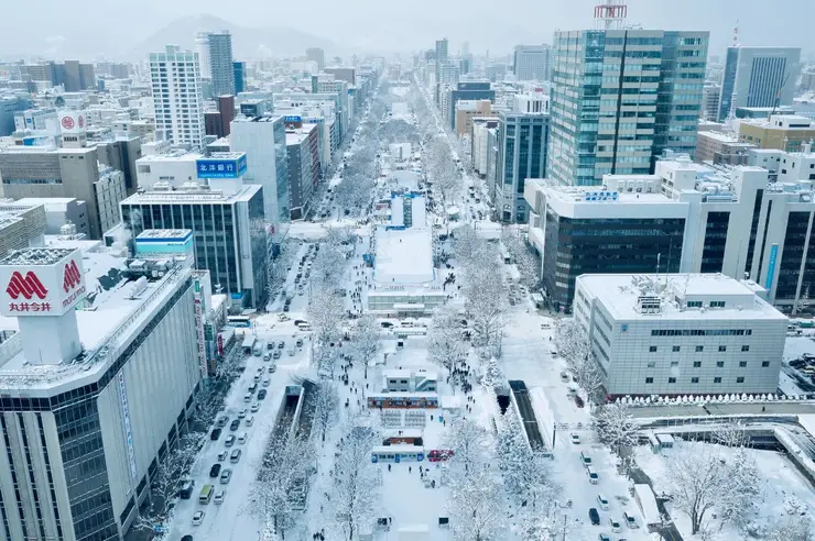 공원 내 만개한 꽃밭