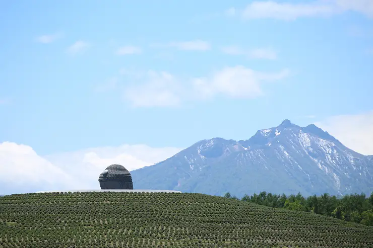 불상으로 향하는 지하 통로