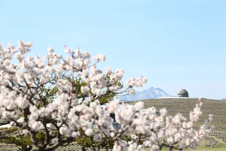 숲 속 현대 조각 작품 1