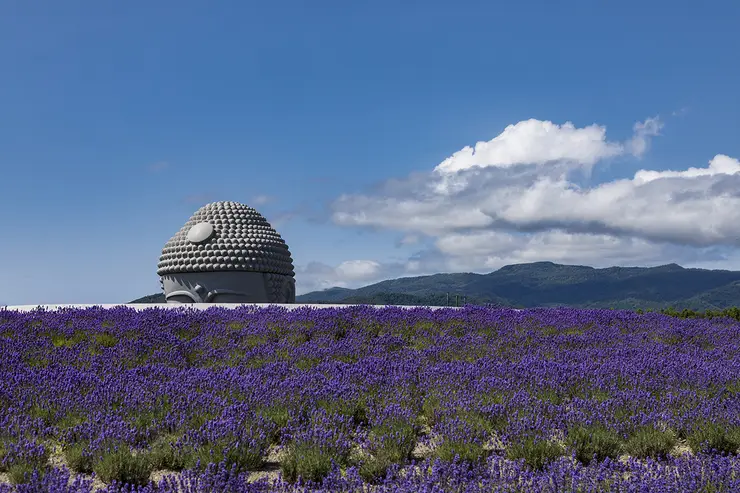 예술의 숲 산책로 풍경