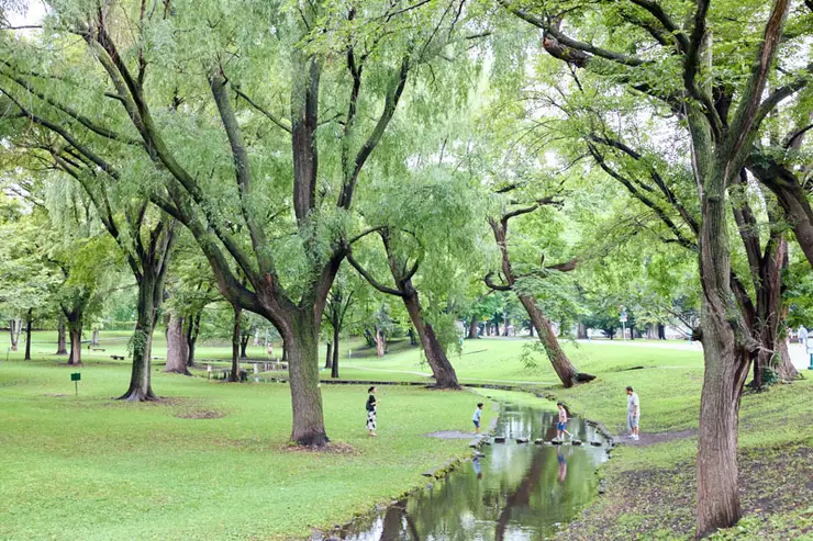 홋카이도 대학 정문 입구
