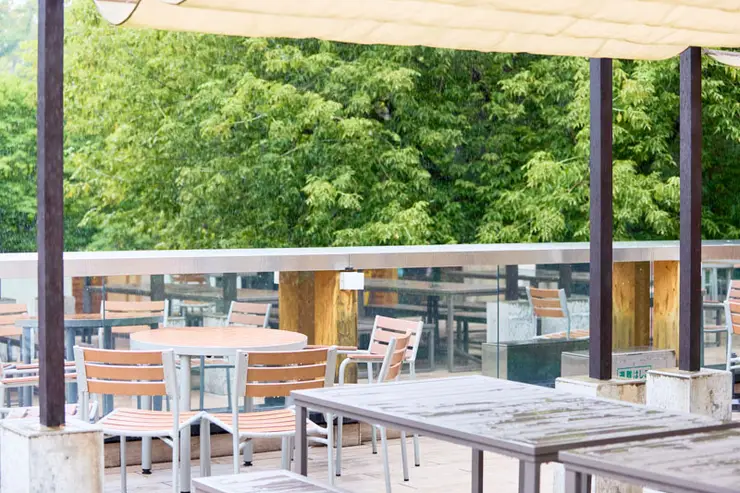 클래식한 대학 본관 건물